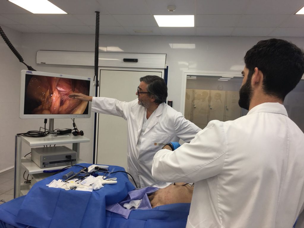 III Curso en Cirugía Endoscópica Extraperitoneal de la Hernia Inguinal
